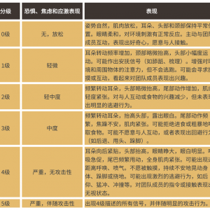 別讓你的馬“忍辱負重”！讀懂馬的疼痛、刻板行為與應激