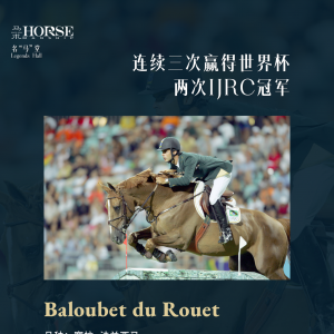 “人馬合一”的奇跡，是靠馬的天賦還是騎手的技巧？