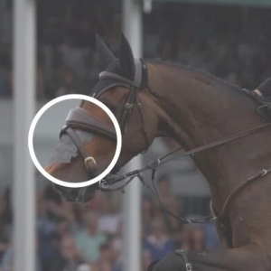 有效性尚存爭(zhēng)議，使用馬鼻貼是心理安慰嗎？